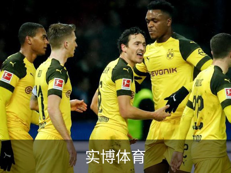 走进实博体育